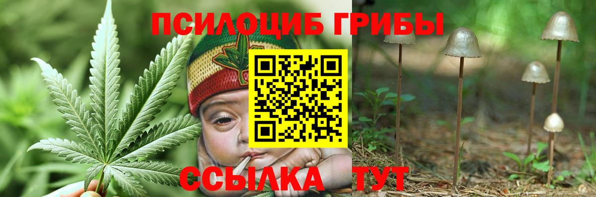 Псилоцибиновые грибы мухоморы Бузулук